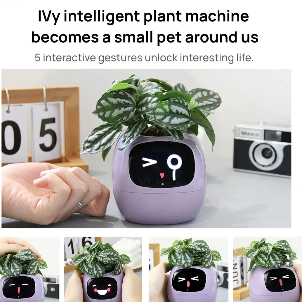 Ivy Smart Planter,Endless Fun, AI Chips Make Raising Plants Easy and Fun