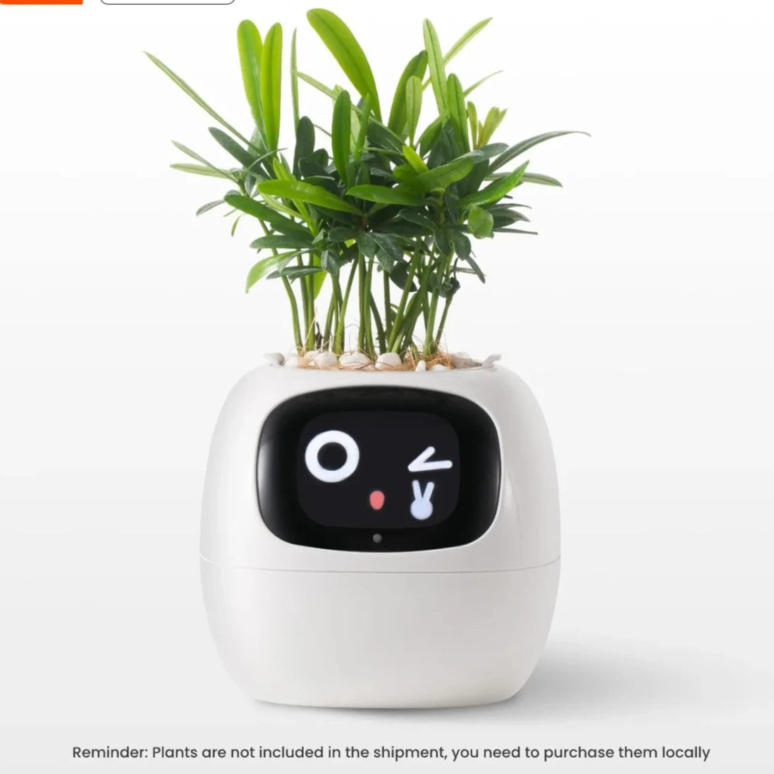 Ivy Smart Planter,Endless Fun, AI Chips Make Raising Plants Easy and Fun