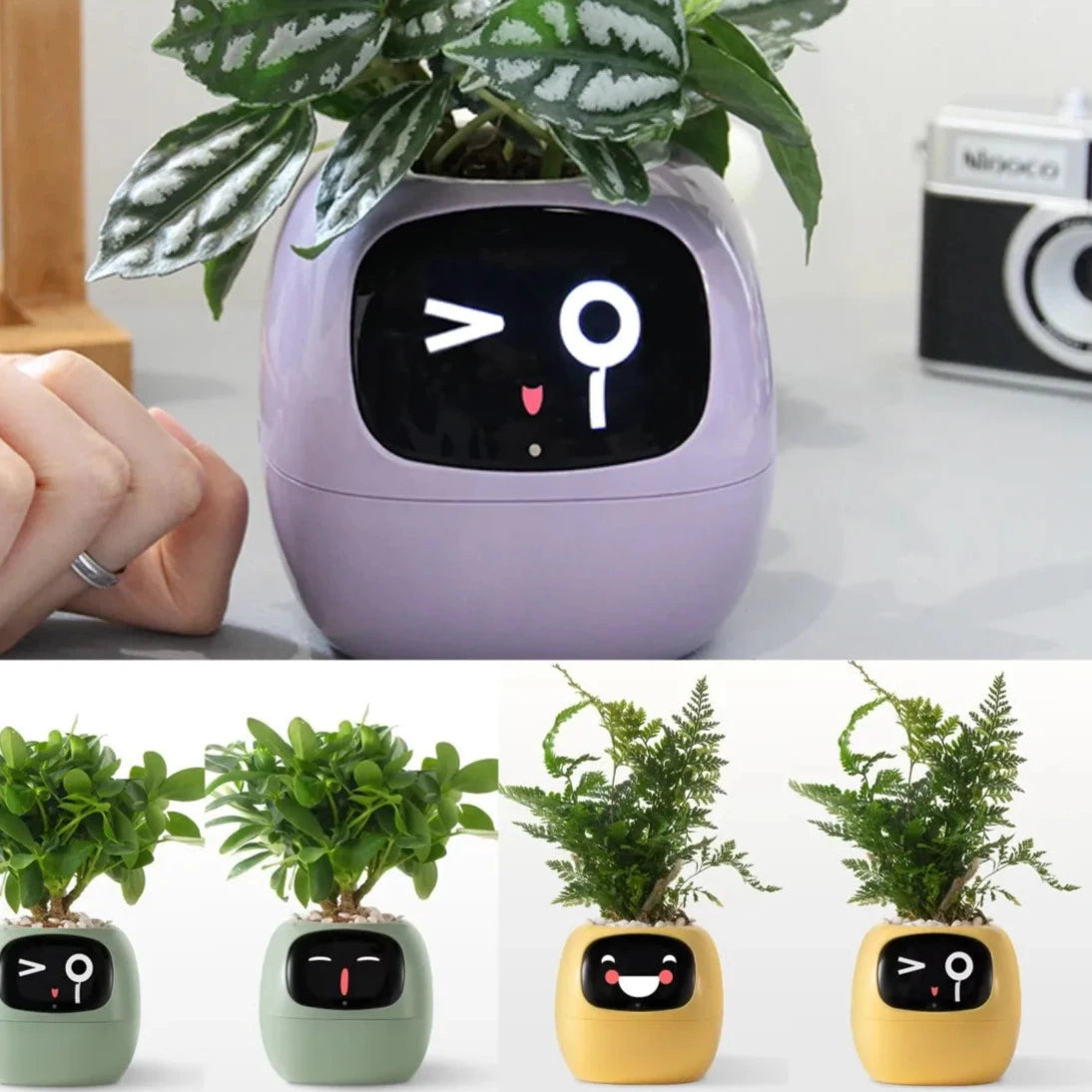 Ivy Smart Planter,Endless Fun, AI Chips Make Raising Plants Easy and Fun